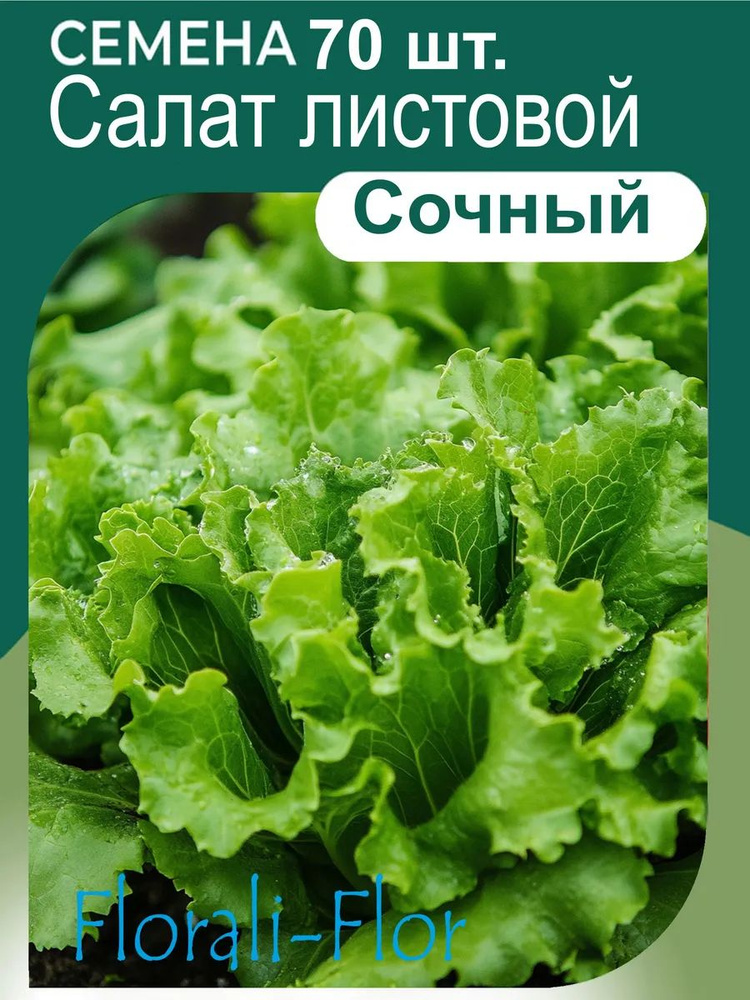 Семена Салат Листовой #1