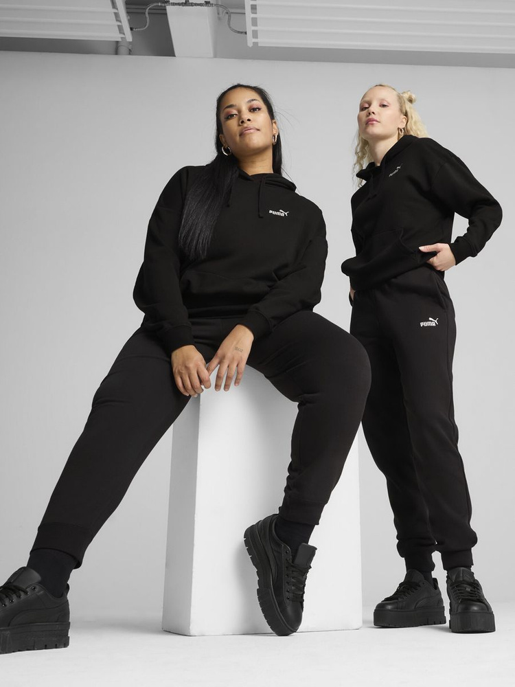 Брюки PUMA ESS Small No. 1 Logo Sweatpants FL cl #1