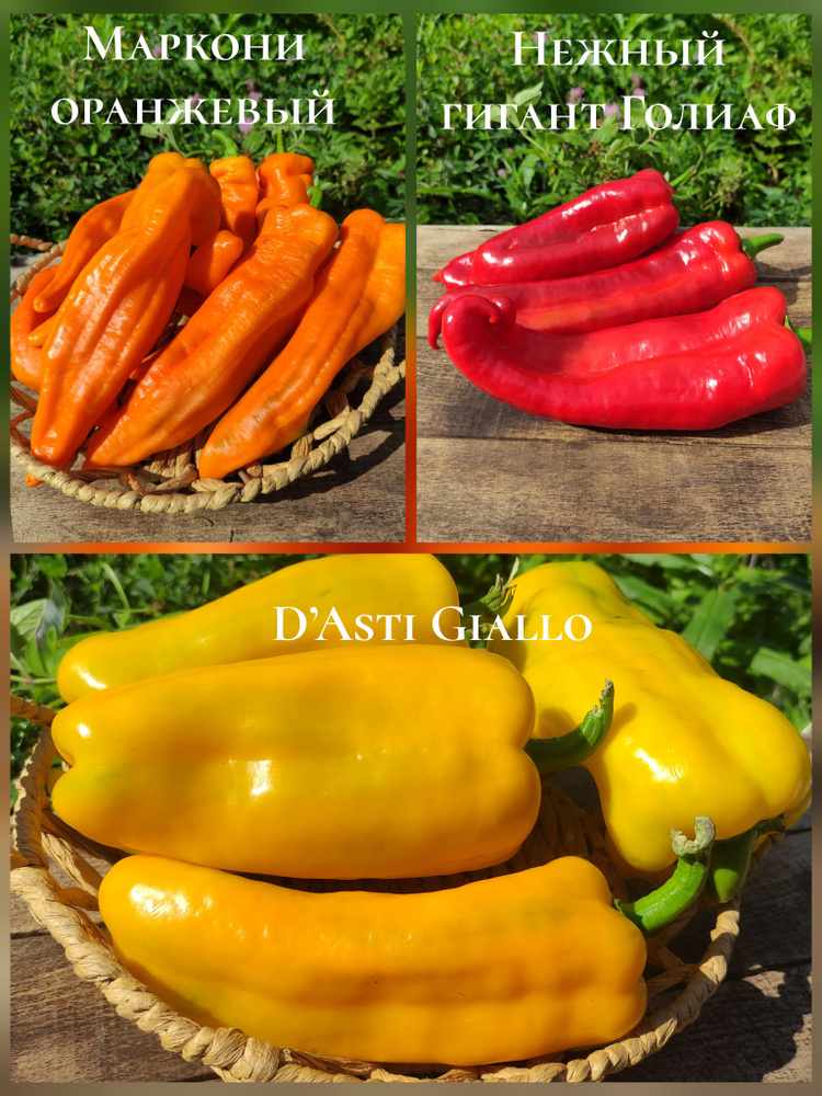 Набор семян сладкого перца #1