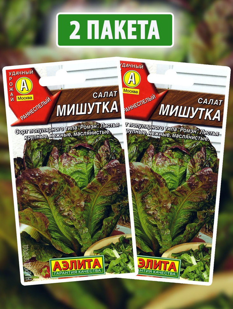 Семена Салат листовой для посадки Мишутка, 2 пакетика по 0,5г/500шт #1