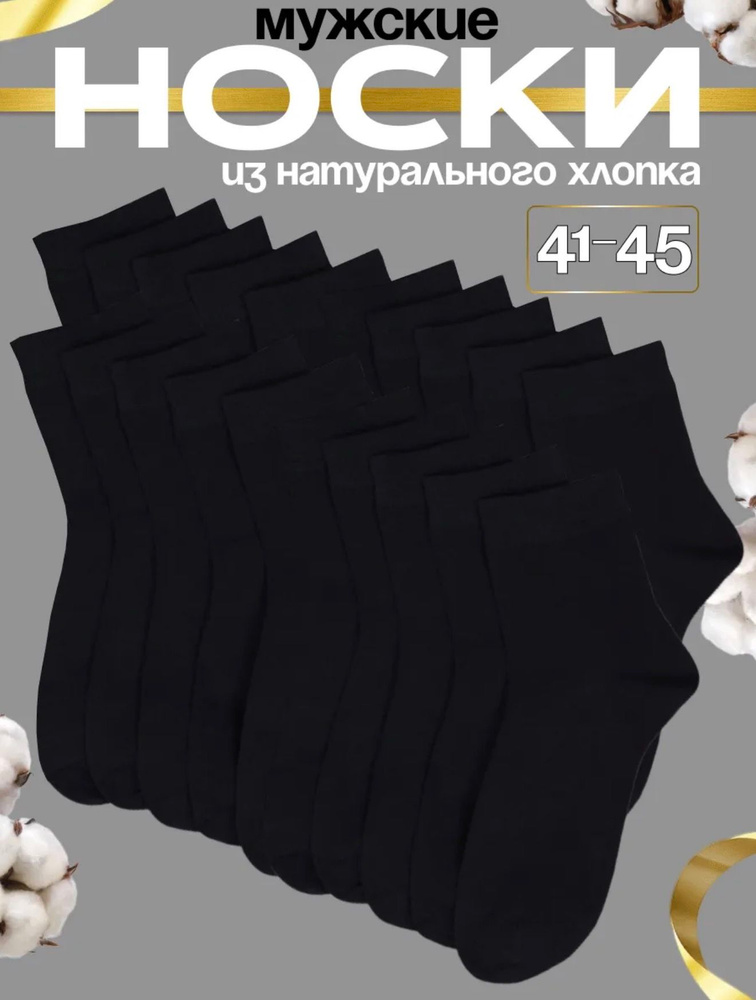 Носки MASTER STEP мужские Носки, 10 пар #1