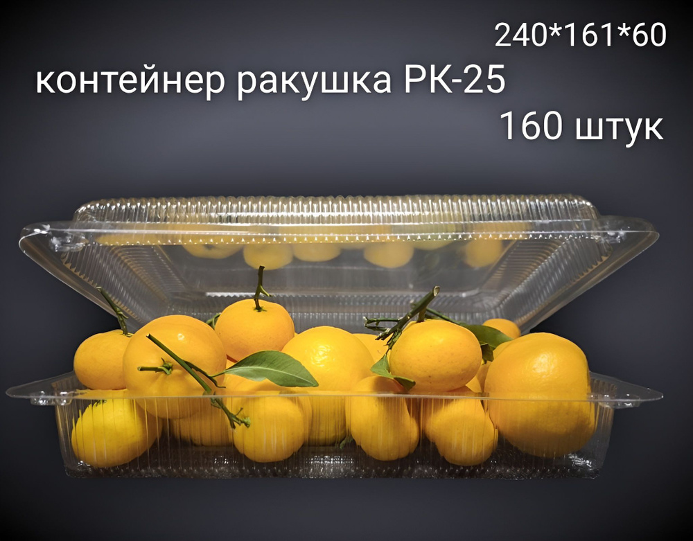 контейнер ракушка #1