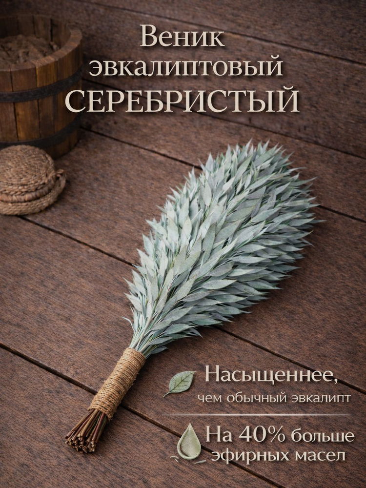 Веник для бани Эвкалиптовый, 1 шт.  #1
