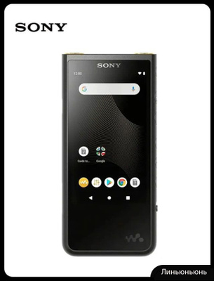 Sony NW-ZX507 Walkman купить на OZON по низкой цене