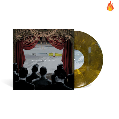 FALL OUT BOY TAKE THIS TO YOUR GRAVE купить на OZON по низкой цене