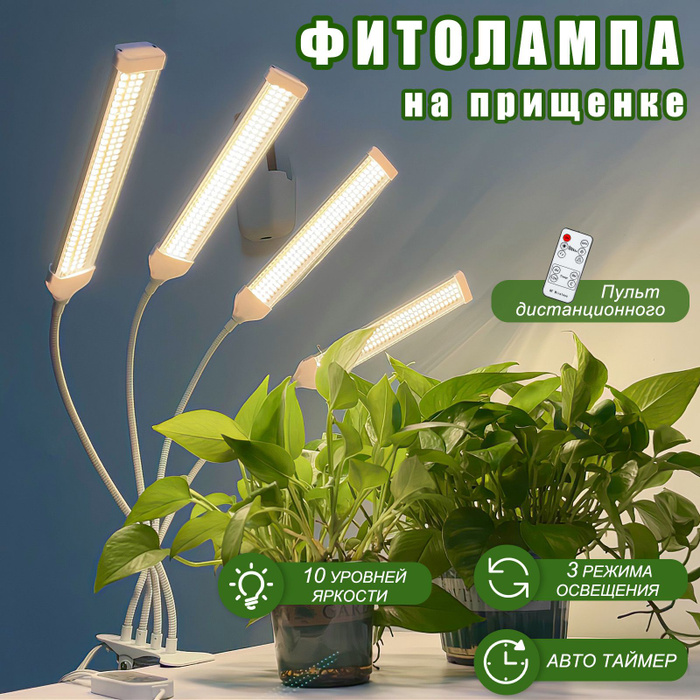 7062364240 7062364240