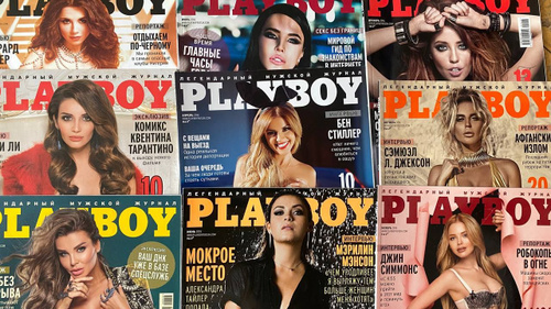 Киімдері бар ит стилі