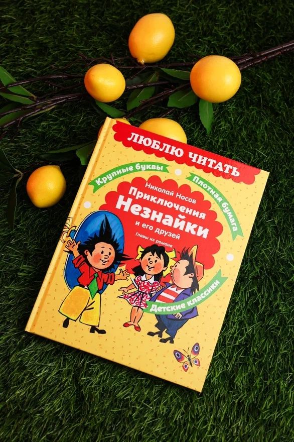 Приключения Незнайки и его друзей. Главы из романа | The Adventures of Dunno and His Friends. Chapters from the Novel - Ozon image 5