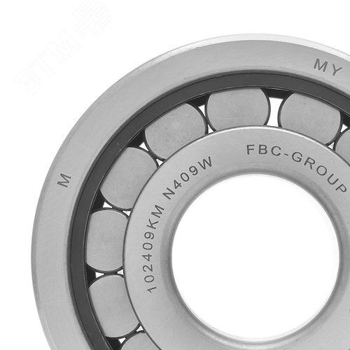 Подшипник роликовый цилиндрический FBC N409 W, 45 120 29 мм Подшипник роликовый цилиндрический FBC N409 W, 45 120 29 мм