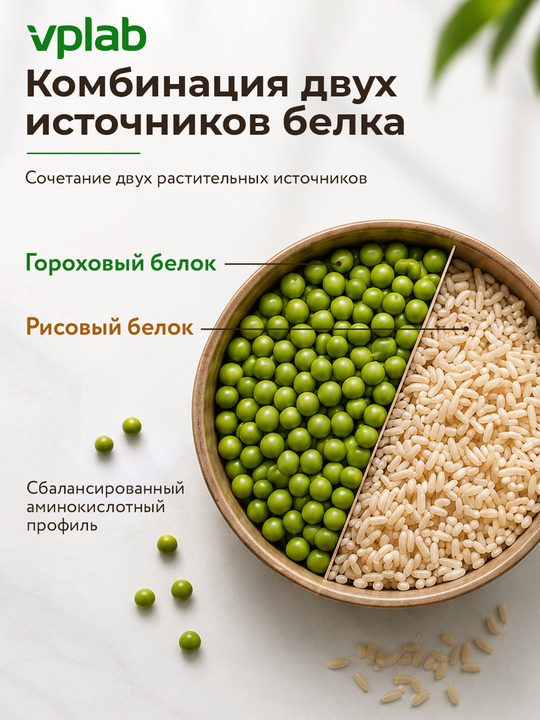 Vplab, Vegan Protein - 500g, Шоколад