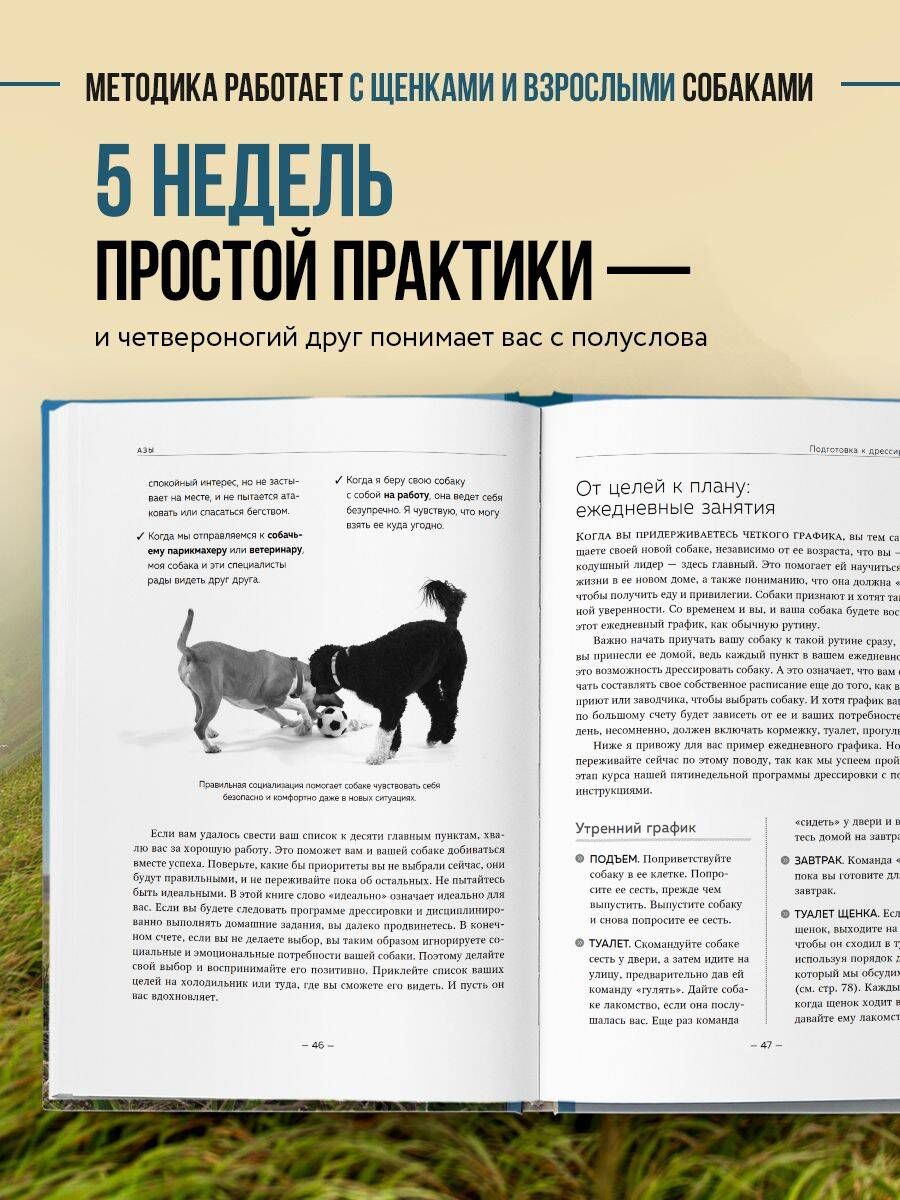 Дрессировка без наказания. Пять недель, которые сделают вашу собаку лучшей в мире | Training Without Punishment. Five Weeks to Make Your Dog the Best in the World - Ozon image 1