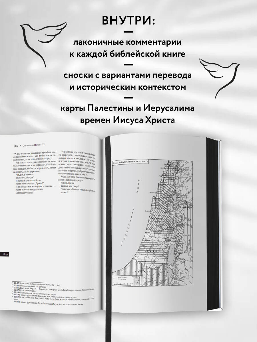 Библия в современном русском переводе | The Bible in a Modern Russian Translation - Ozon image 1