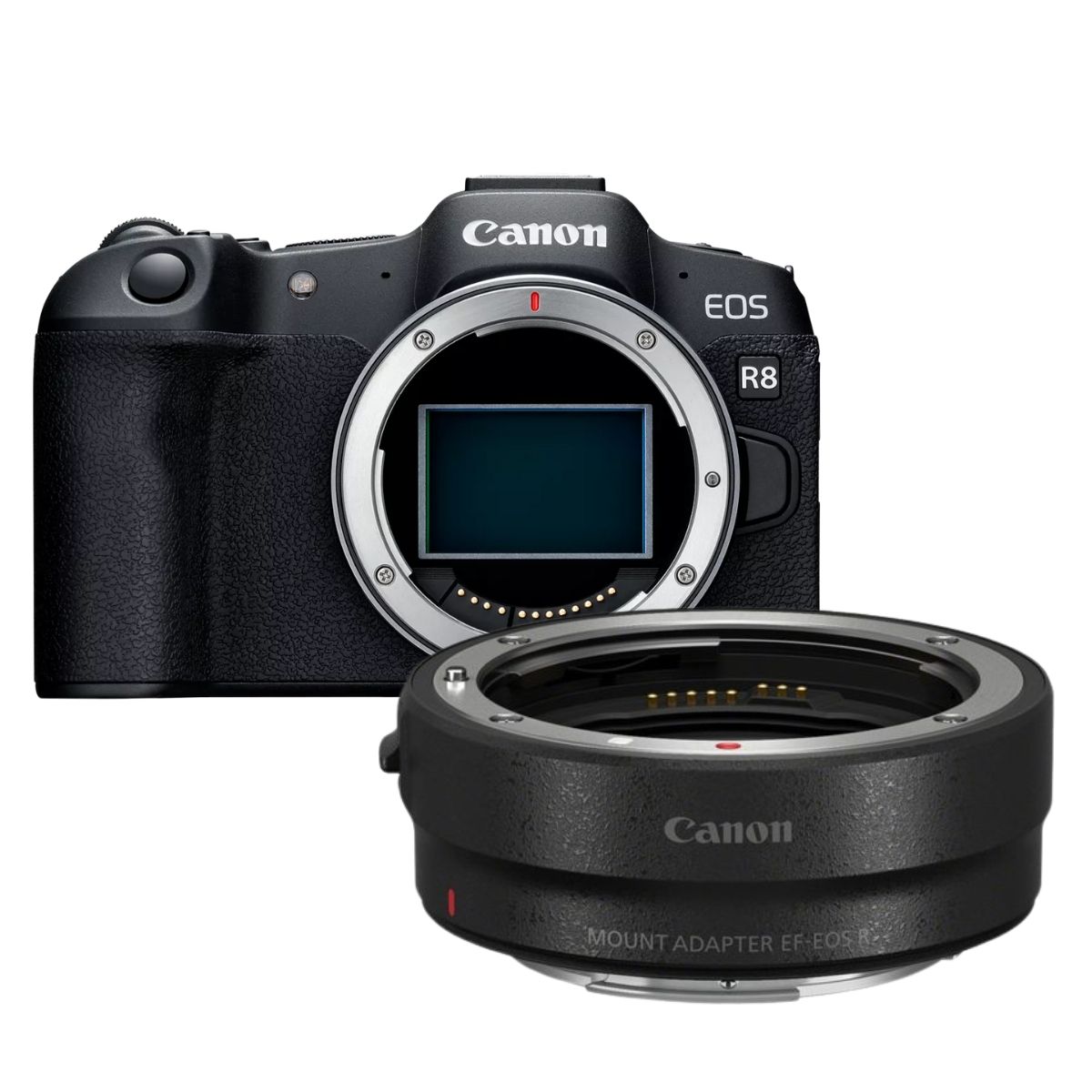 Фотоаппарат CANON EOS R8 MOUNT ADAPTER EF EOS R купить на OZON по ...