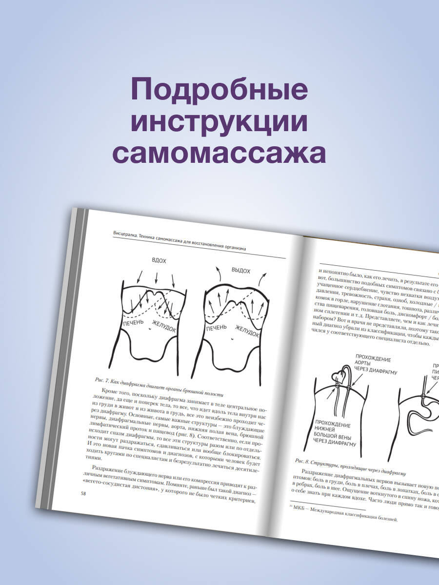Висцералка. Техника самомассажа для восстановления организма. Самая полезная книга про живот | Visceralka. Self-Massage Technique for Body Recovery. The Most Useful Book About the Abdomen - Ozon image 1