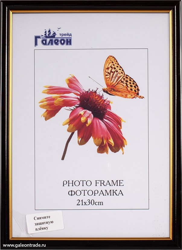 Фоторамка пластиковая 21 х 30 см, с акриловым стеклом, черная с золотом