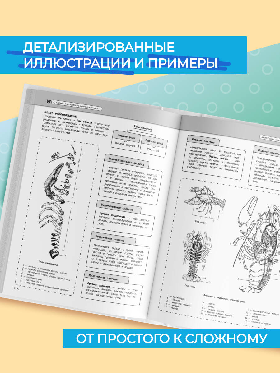 Биология. Подготовка к ОГЭ и ЕГЭ. 5-6-7-8-9-10-11 классы | Reference Book - Ozon image 1