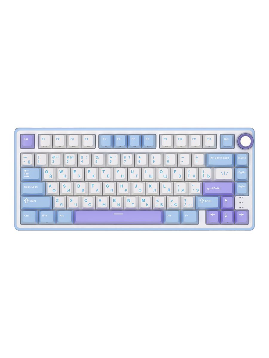 RKRoyalKludgeRKR75RKSilverПроводнаямеханическаяигроваяклавиатура,русскаяраскладка,компактная(75%),81клавиша,белая,голубой,фиолетовая