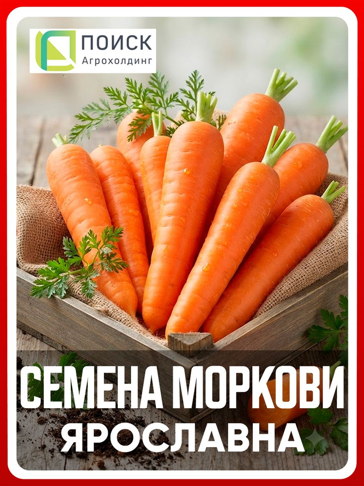 Семена Моркови "Ярославна" 2 гр, для дома, дачи и огорода, морковь из семян, на рассаду, в открытый грунт. #1