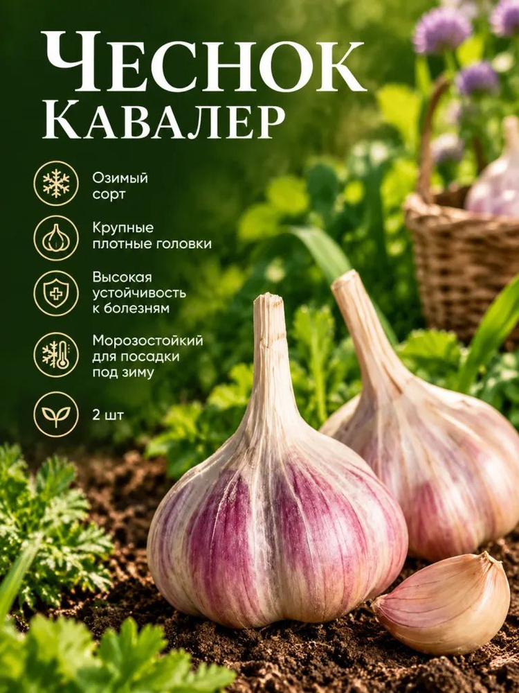 Семена ,2шт #1