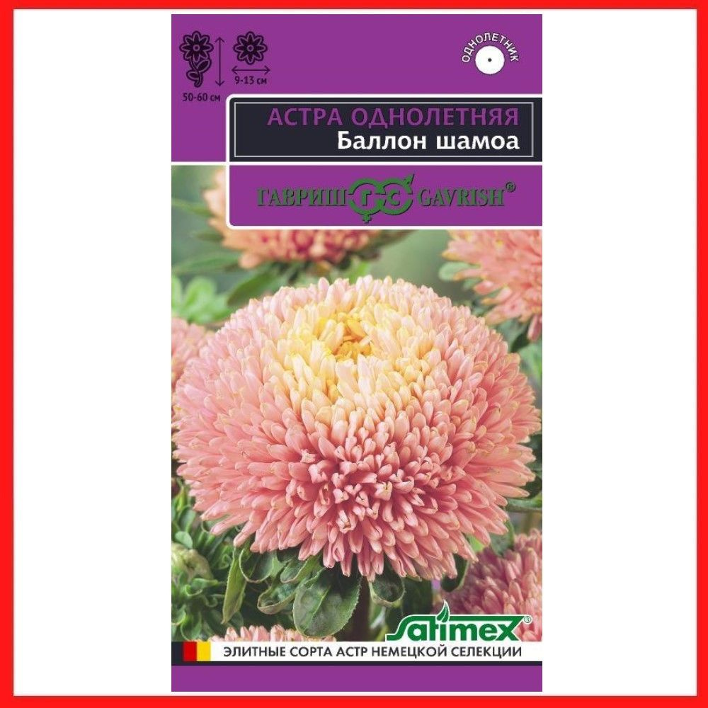 Семена Астра густомахровая "Баллон шамоа" 0,05 гр, однолетние цветы для дачи, сада и огорода, клумбы, #1