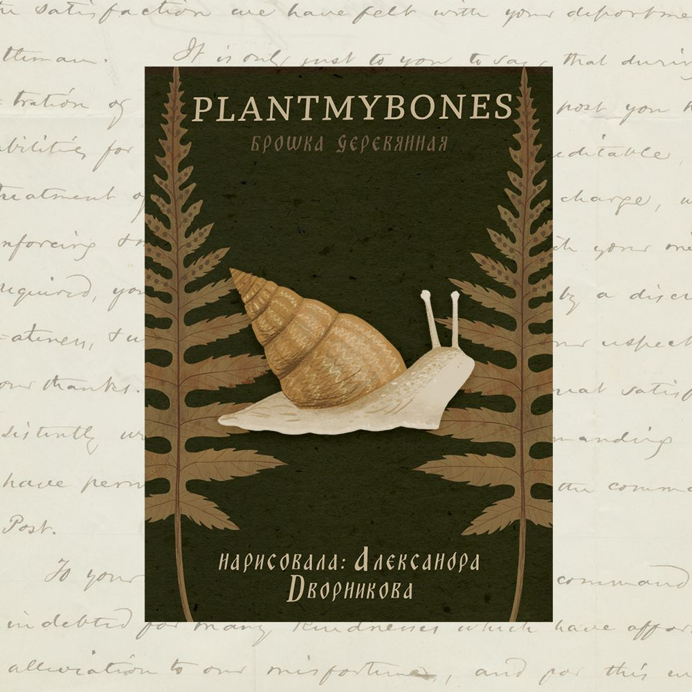 Деревянная брошь PlantMyBones, значок из дерева на замке-булавке: Улитка  #1