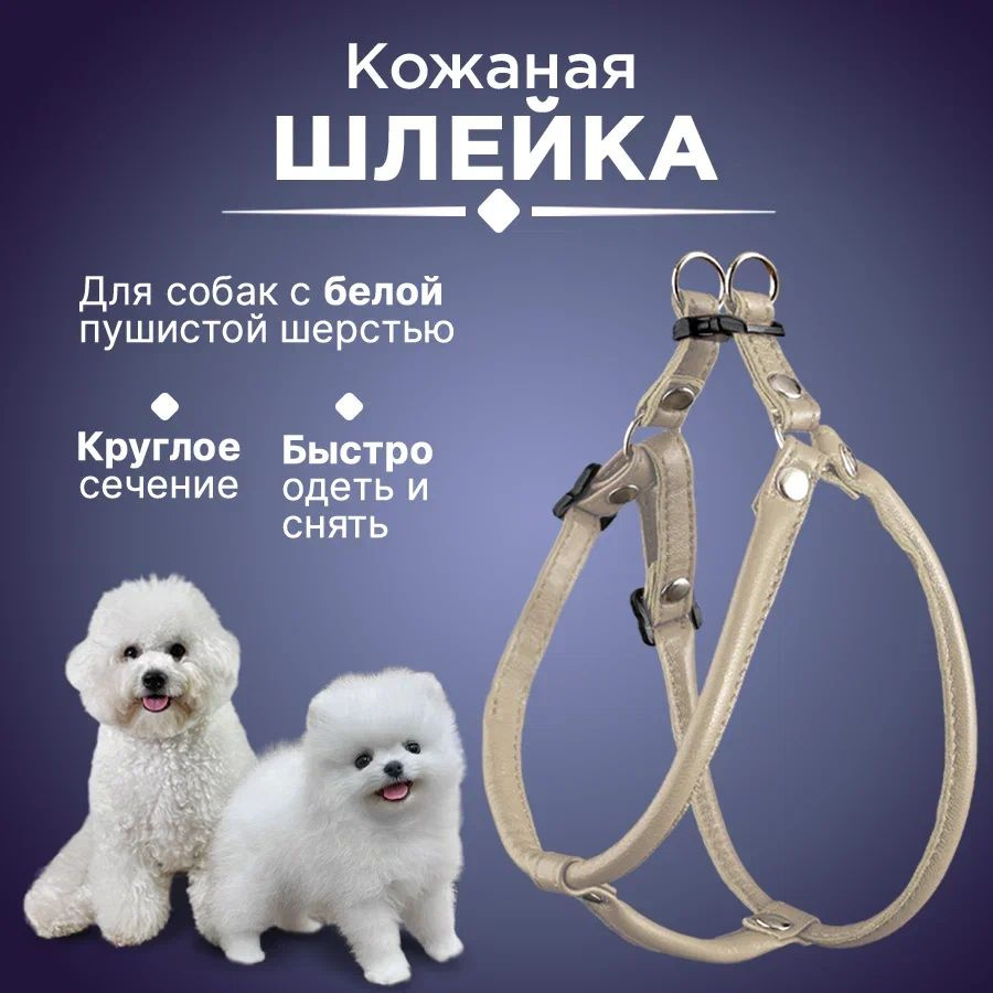 Шлейка для шпица круглая кожаная, шлейка для пушистых белых собак ...