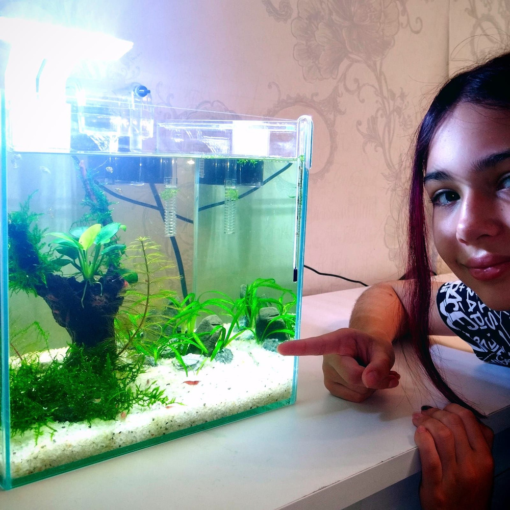 Аквариум живой 15 л. куб под ключ - купить с доставкой по выгодным ...