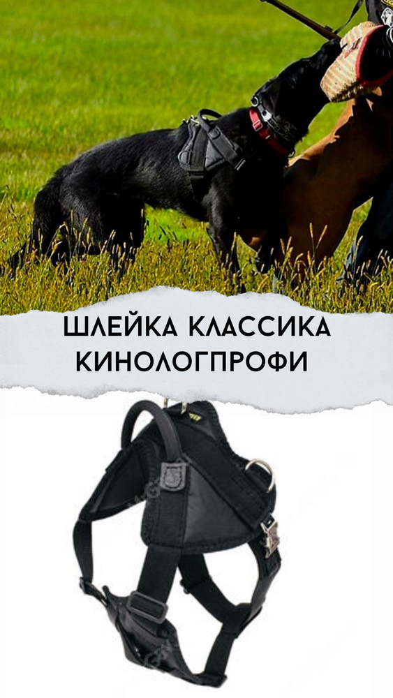 Шлейка для собак профессиональная усиленная с фиксаторами из металла ...