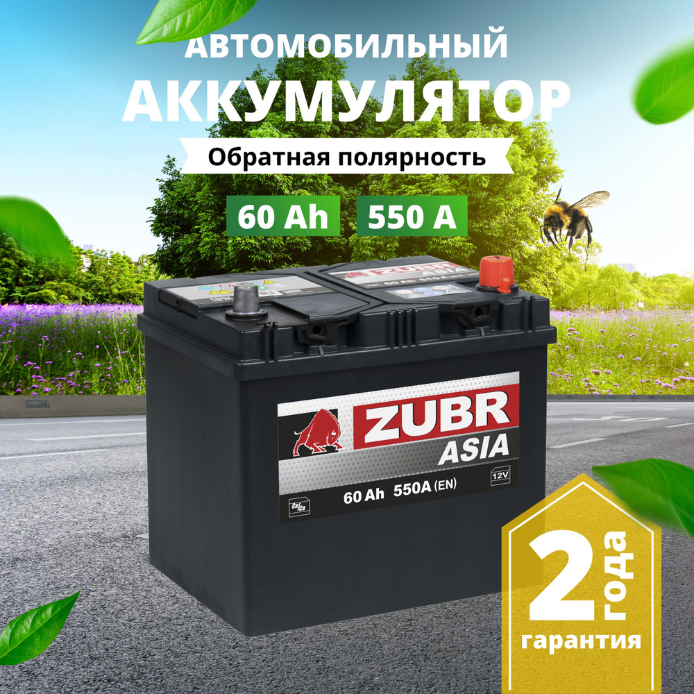 Аккумулятор автомобильный 12v 60 Ah ZUBR Ultra Asia 60 Ач 580 А обратная  полярность 230х175х225 стартерный акб для автомобиля, машины (нижний борт)