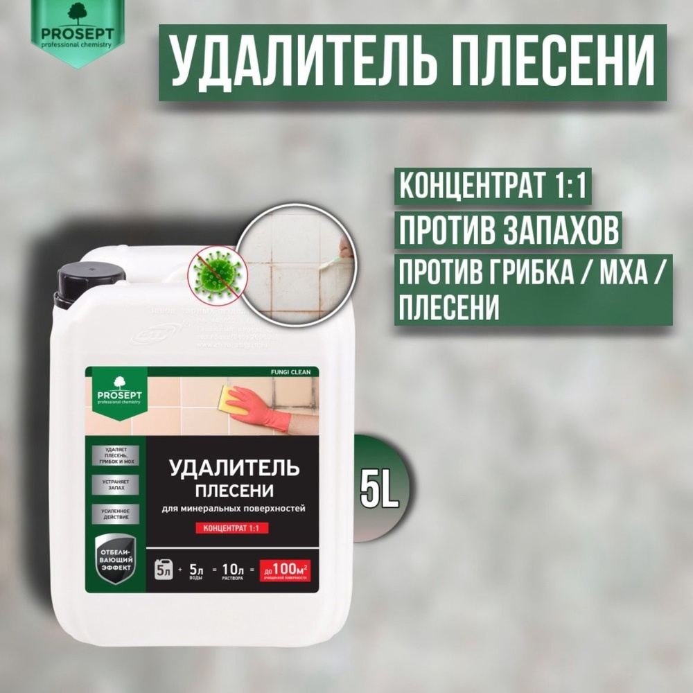 Удалитель плесени PROSEPT FUNGI CLEAN концентрат 1:1 5 литров - купить с  доставкой по выгодным ценам в интернет-магазине OZON (1154242433)