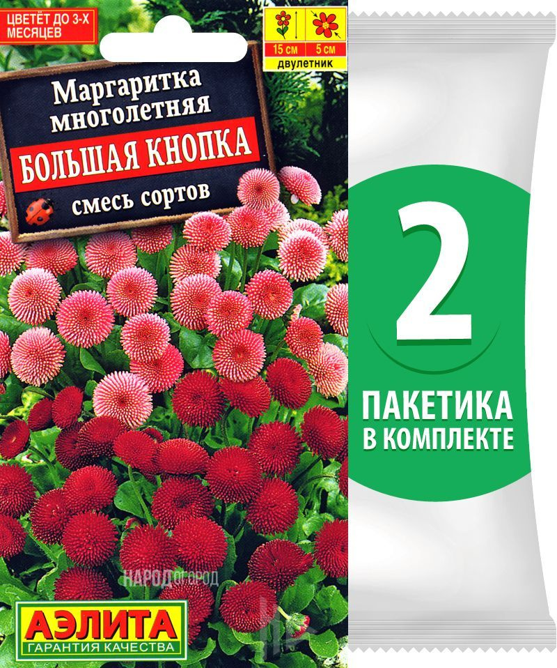 Семена Маргаритка Большая Кнопка смесь сортов, 2 пакетика по 0,03г  #1