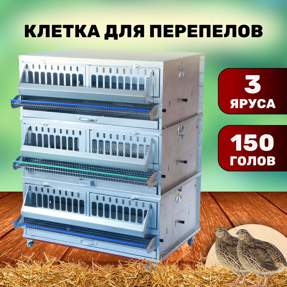 Клетка для перепелов на 150 голов Сельский дворик с кормушкой и поилкой ...