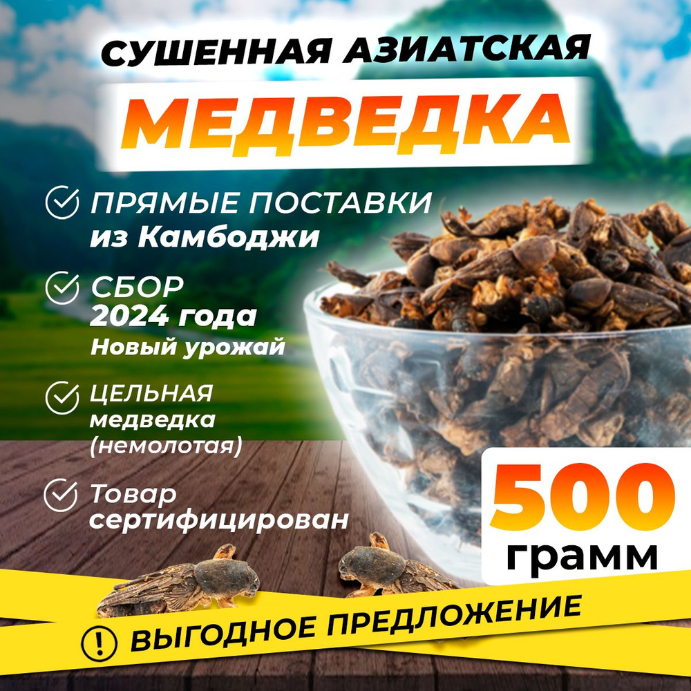 Медведка азиатская - 500 грамм #1