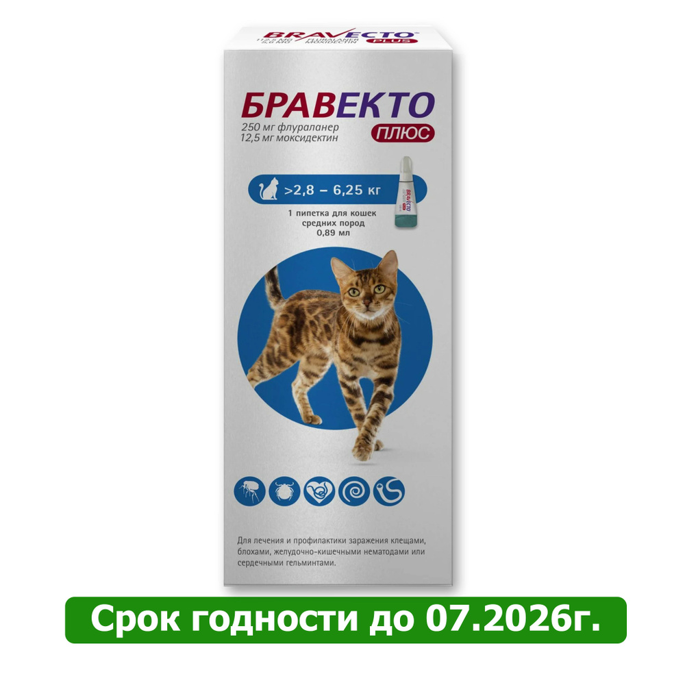 Бравекто капли для кошек весом от 2,8 до 6,25 кг против внутренних и  внешних паразитов (1 пипетка) - купить с доставкой по выгодным ценам в  интернет-магазине OZON (1468045487)