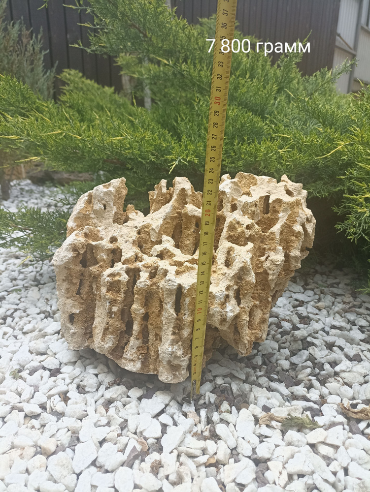 Меотис камень песчанник 7,8 кг #1