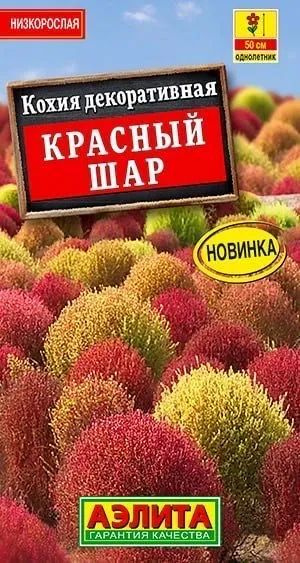 Семена Кохия Красный шар (0,1 г) - Агрофирма Аэлита #1