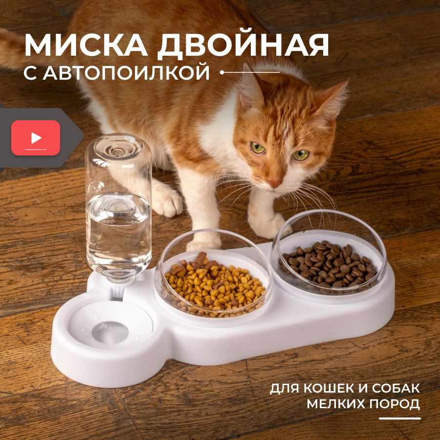Миска для кошек, миска для собак, для животных купить на OZON по низкой ...