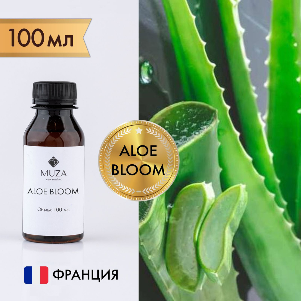 Отдушка "Aloe bloom (Алоэ вера)", 100 мл., для свечей, мыла и диффузоров, Франция  #1