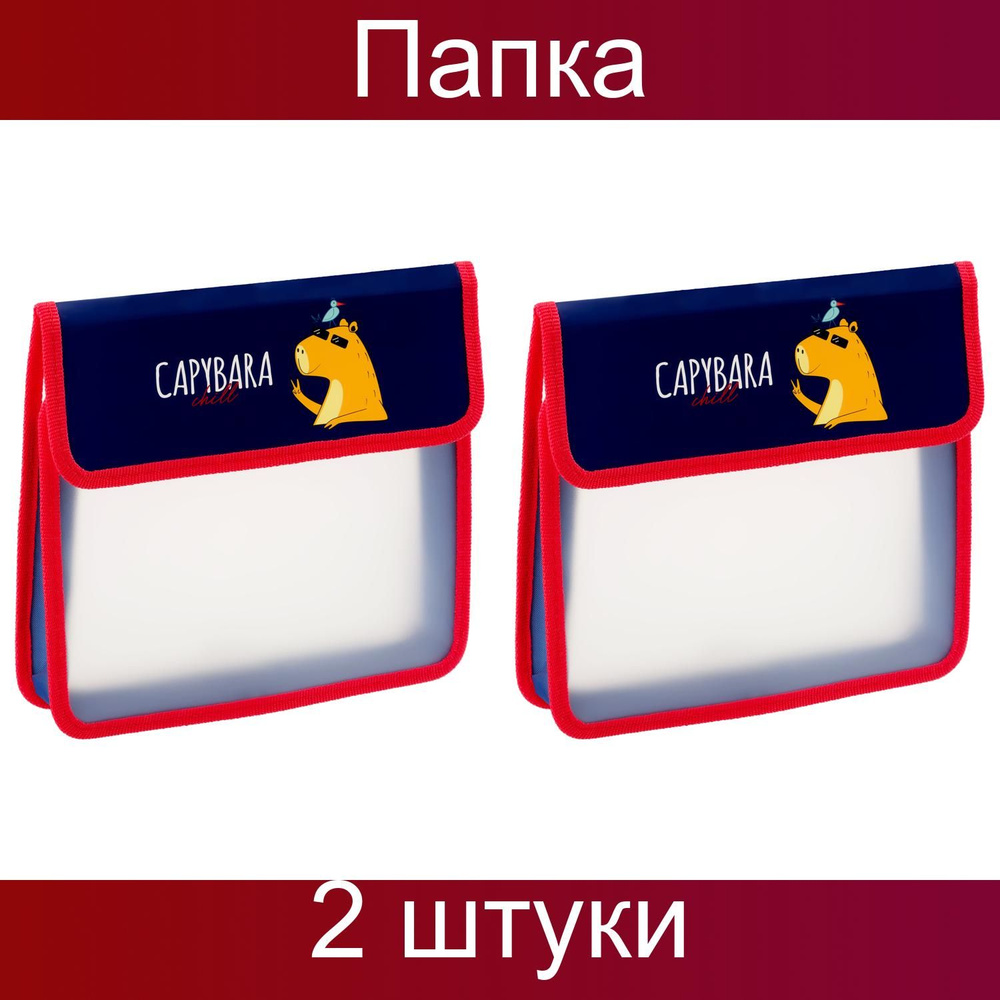 Папка для тетрадей 1 отделение, ArtSpace "Capybara", А5, пластик, на ...