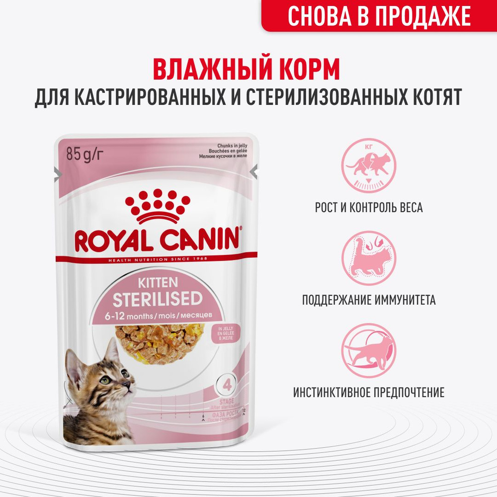Kitten Sterilised желе для стерилизованных кошек, 85 г
