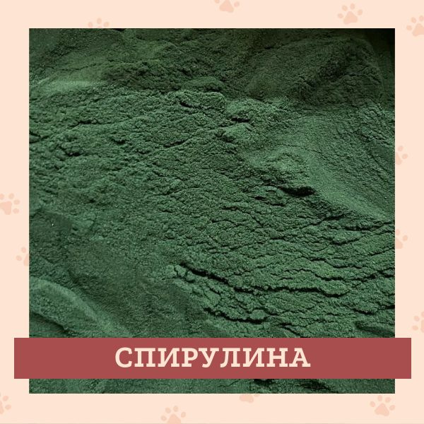 Спирулина, порошок, 100 гр. #1