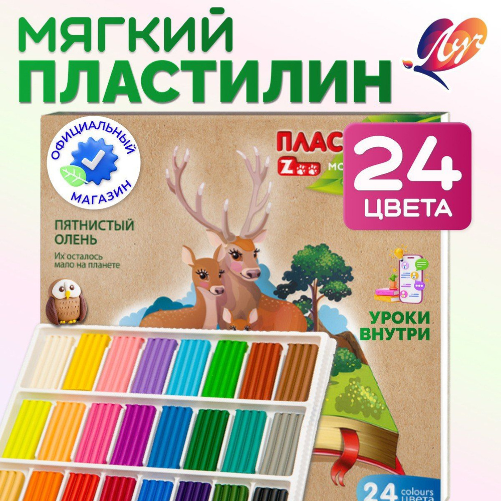 24 24