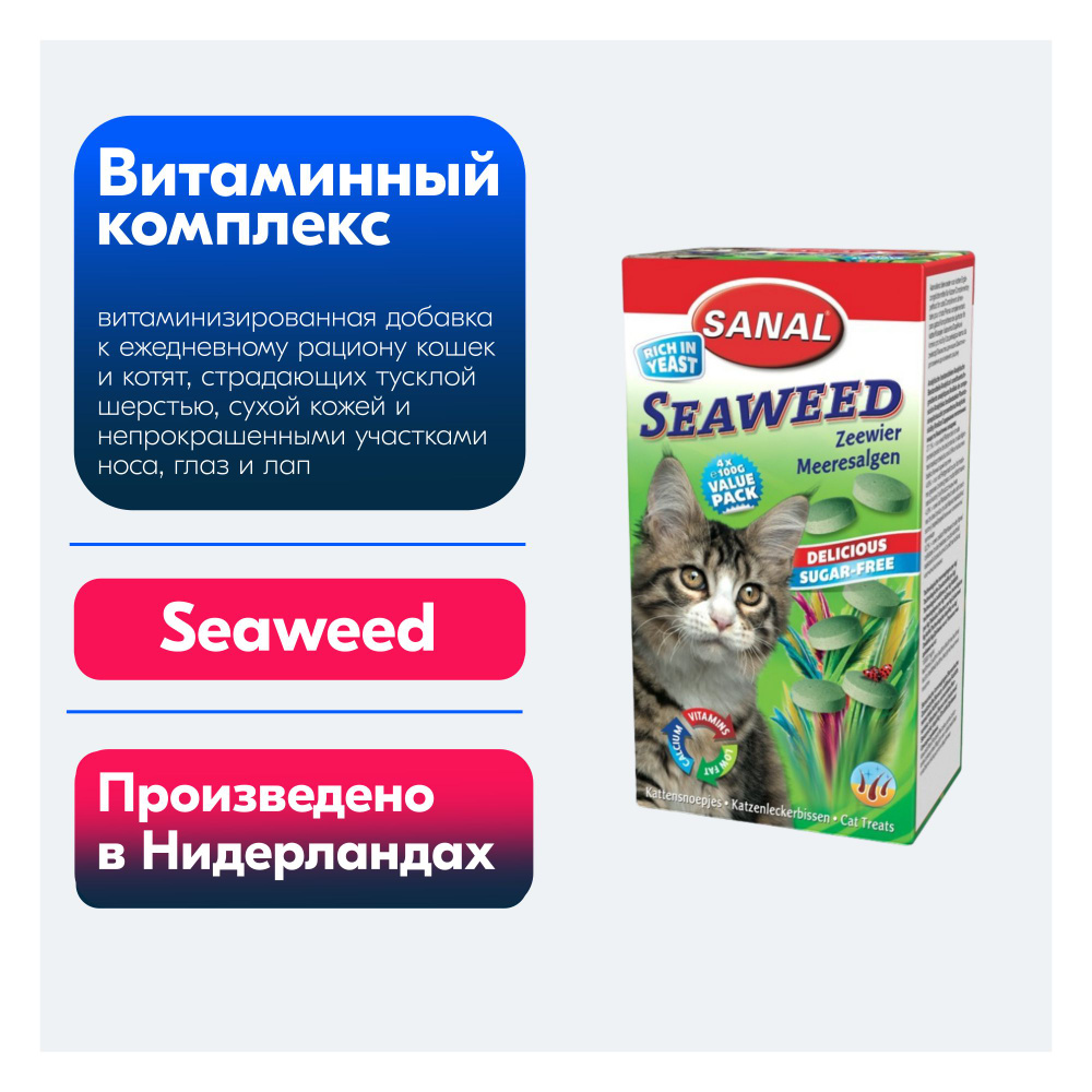 Комплекс Seaweed с морскими водорослями #1