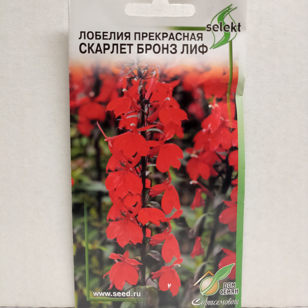 Лобелия Прекрасная Скарлет Бронз Лиф, 5 семян #1