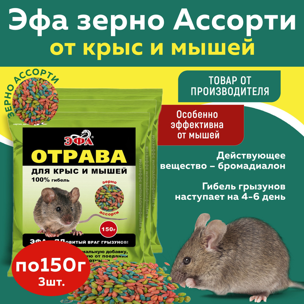 Эфа Ассорти по 150 гр зерно, приманка от мышей 3 шт #1