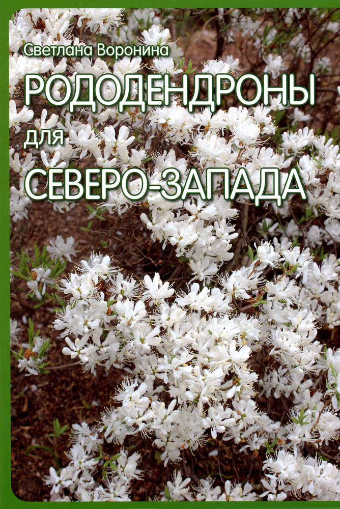 Рододендроны для Северо-Запада | Воронина Светлана Ивановна  #1