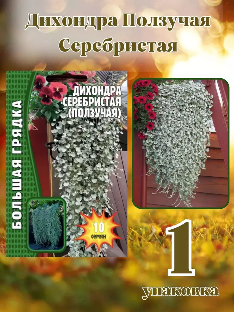 Григорьев Сад_Дихондра Ползучая Серебристая 1уп - купить по выгодным ...