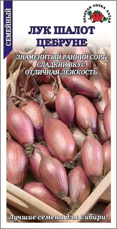 Лук Шалот Цебруне Сотка 0,3 г #1