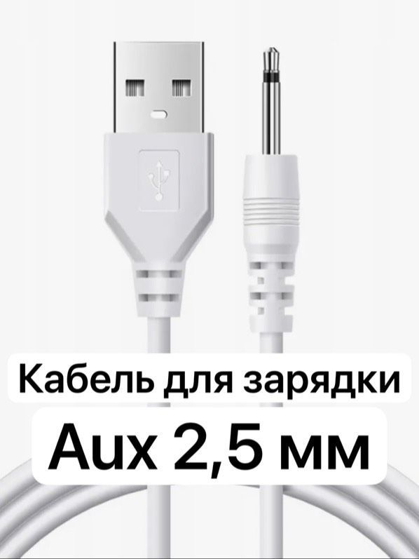 Зарядка для Массажёров, Вибраторов USB- Aux(2,5мм) #1