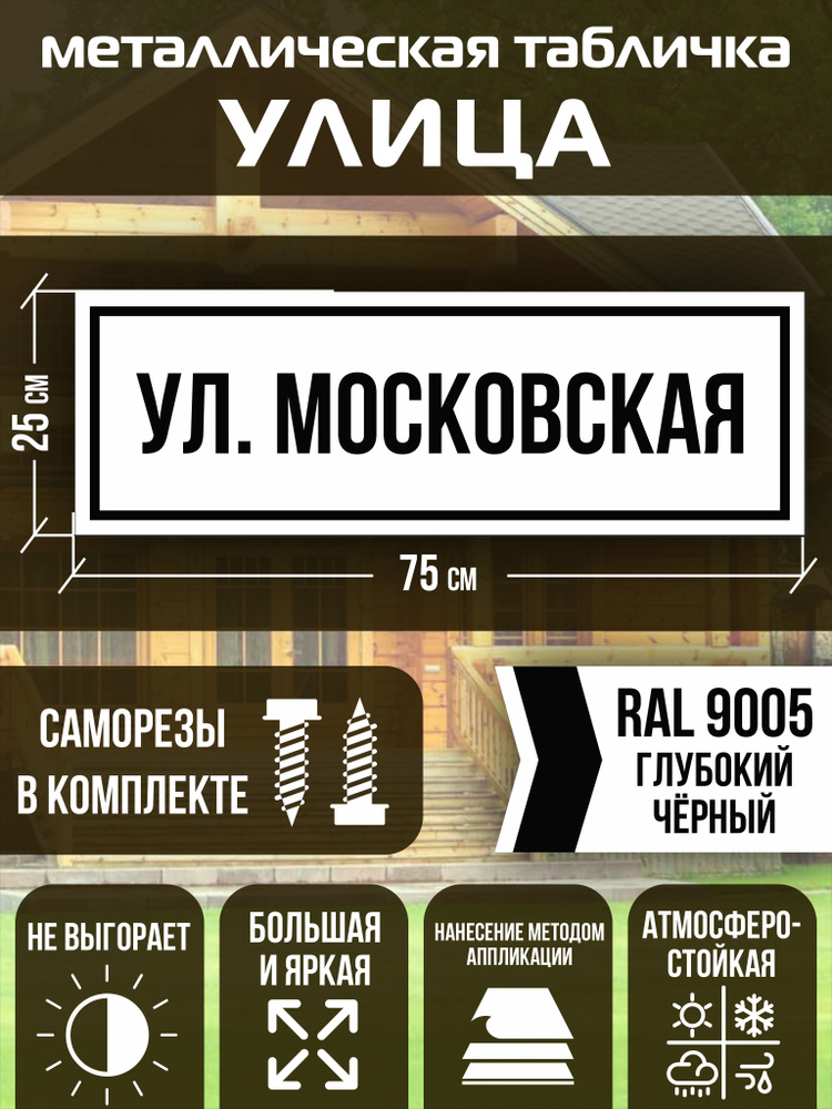 Адресная табличка на дом улица Московская RAL 9005 черная #1